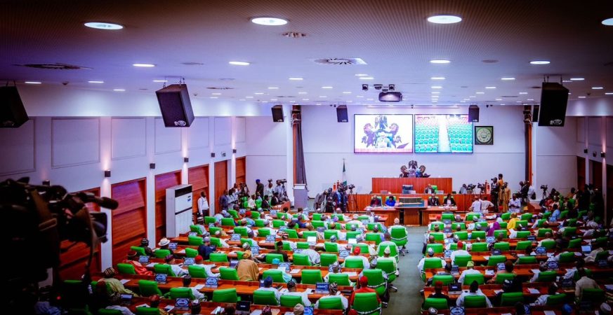 Reps Urge FG to Summon Libyan Ambassador Over Super Eagles’ Ill-Treatment